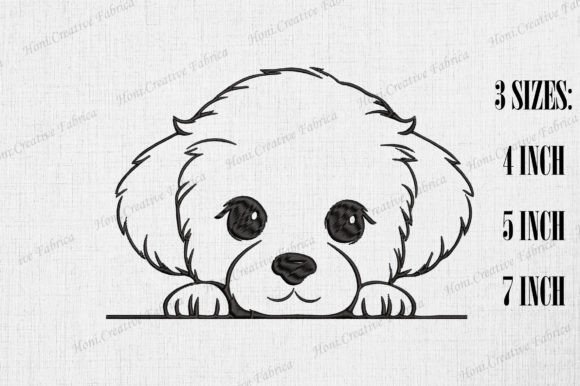 Cute Bichon Frise Dog Peeking Wall